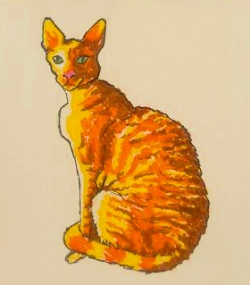 Boris