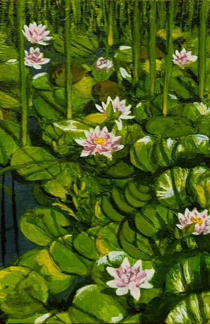Lilies