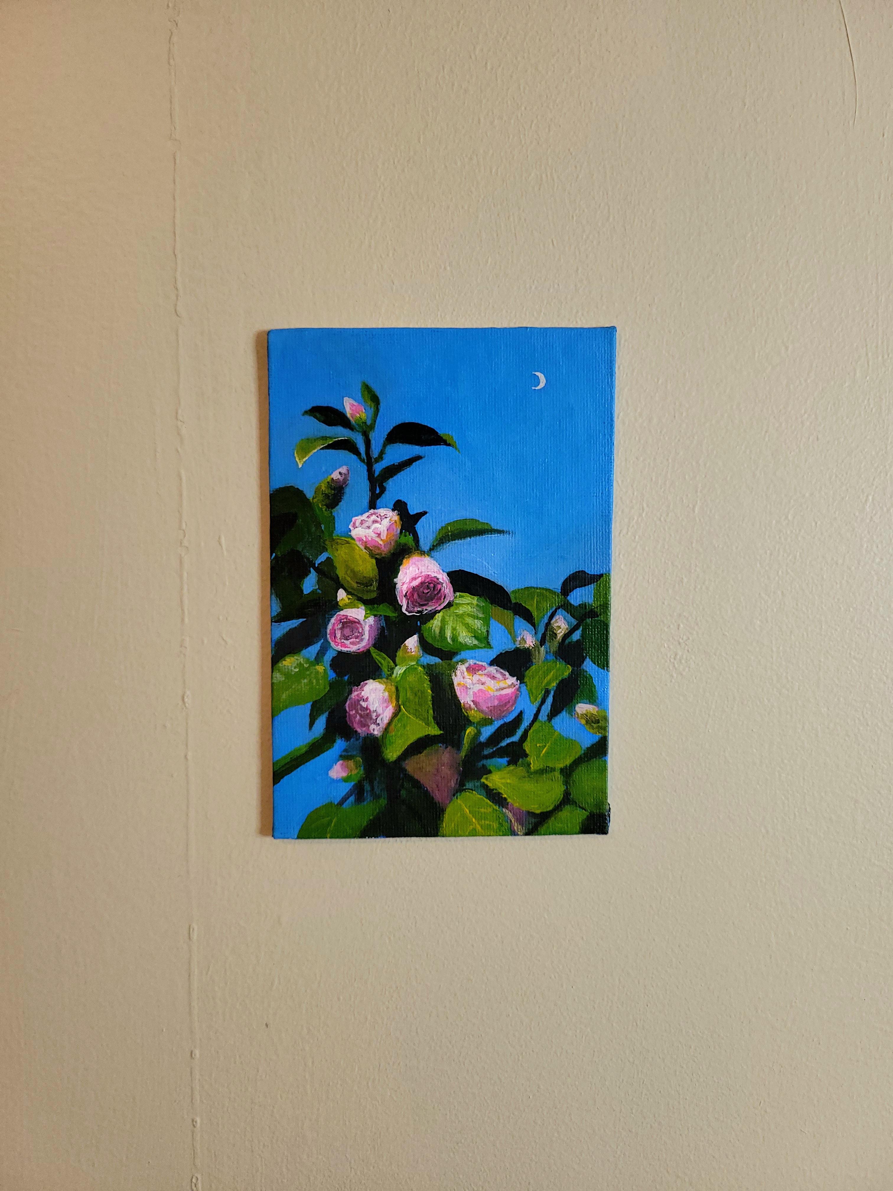 Camellias